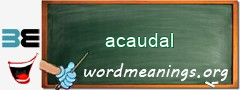 WordMeaning blackboard for acaudal